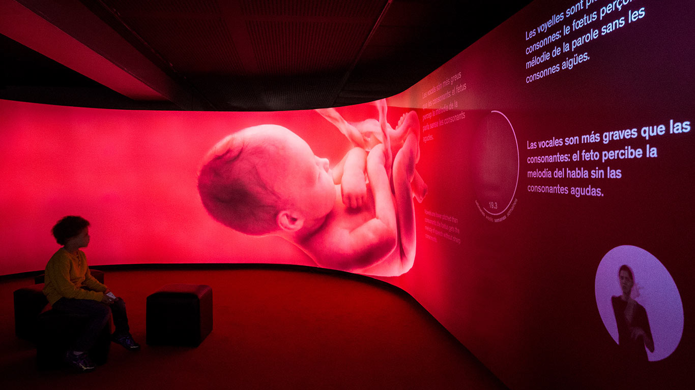 Visita dinamitzada: “Talking Brains”