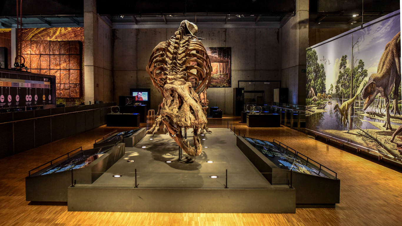 Visita comentada a “Dinosaures de la Patagonia