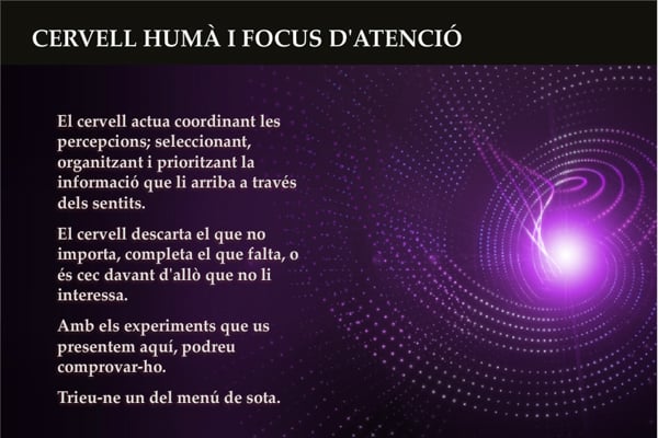 Cervell humà i focus d'atenció