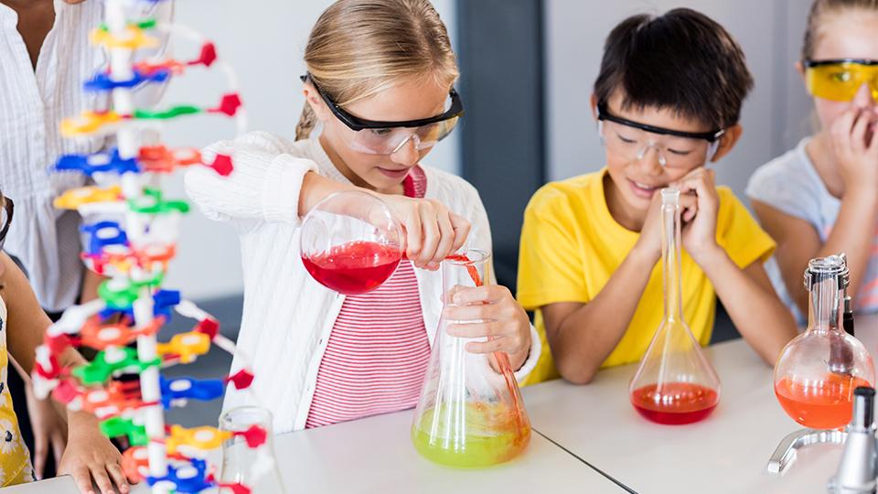 Ensenyar ciència a infantil i primària. Girona