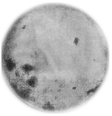 luna 1959